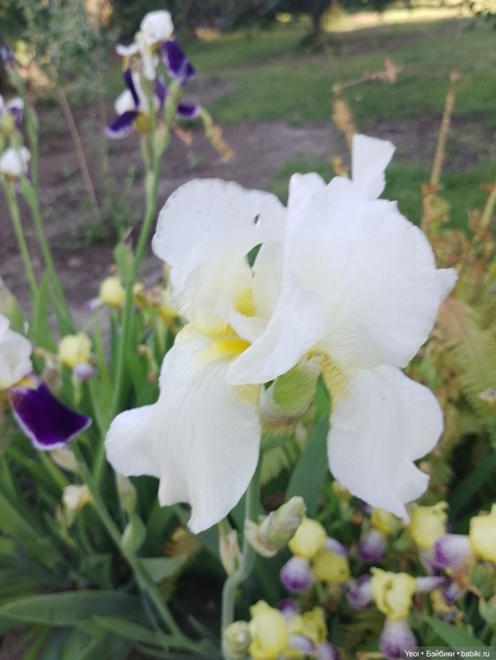 Кукла/фигурка Лучеано "Сицилийские истории". MJD (The Past In Sicily блайнд-бокс). 01