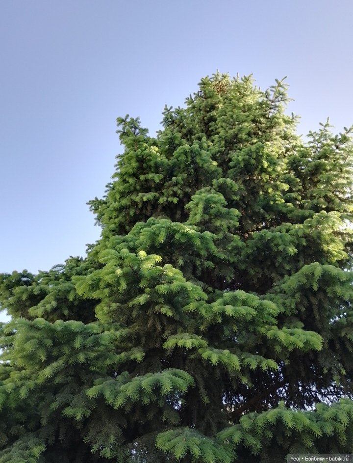 Кукла/фигурка Лучеано "Сицилийские истории". MJD (The Past In Sicily блайнд-бокс). 01