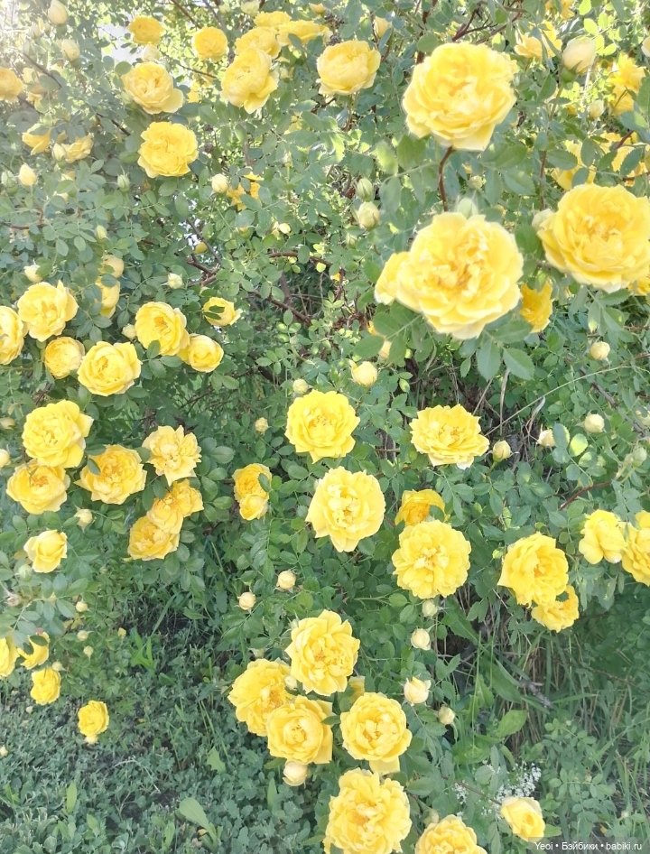 Кукла/фигурка Лучеано "Сицилийские истории". MJD (The Past In Sicily блайнд-бокс). 01 (фото 2)