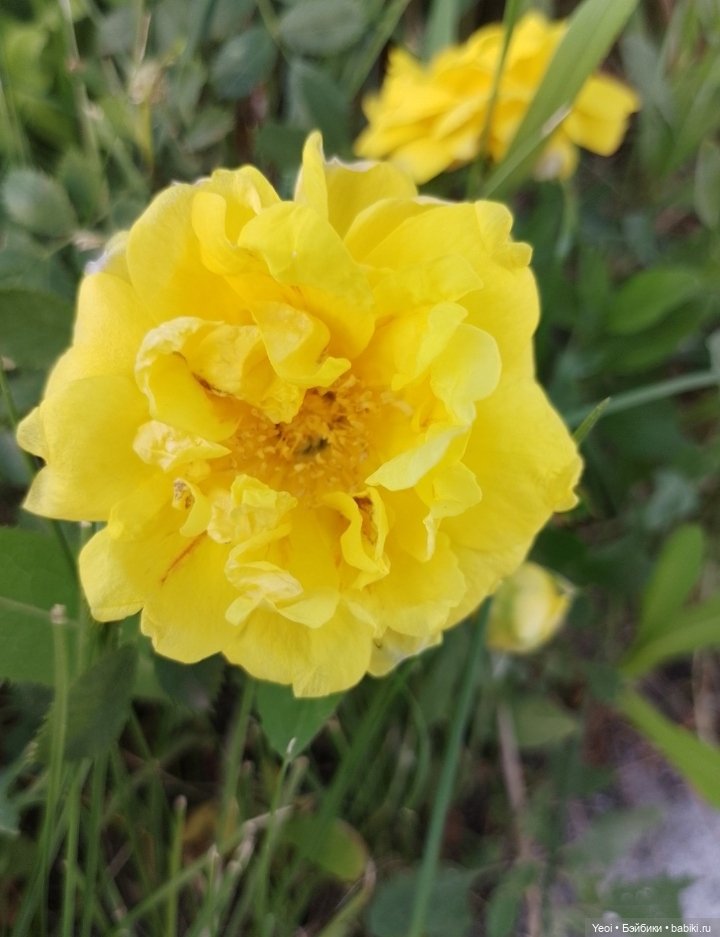 Кукла/фигурка Лучеано "Сицилийские истории". MJD (The Past In Sicily блайнд-бокс). 01