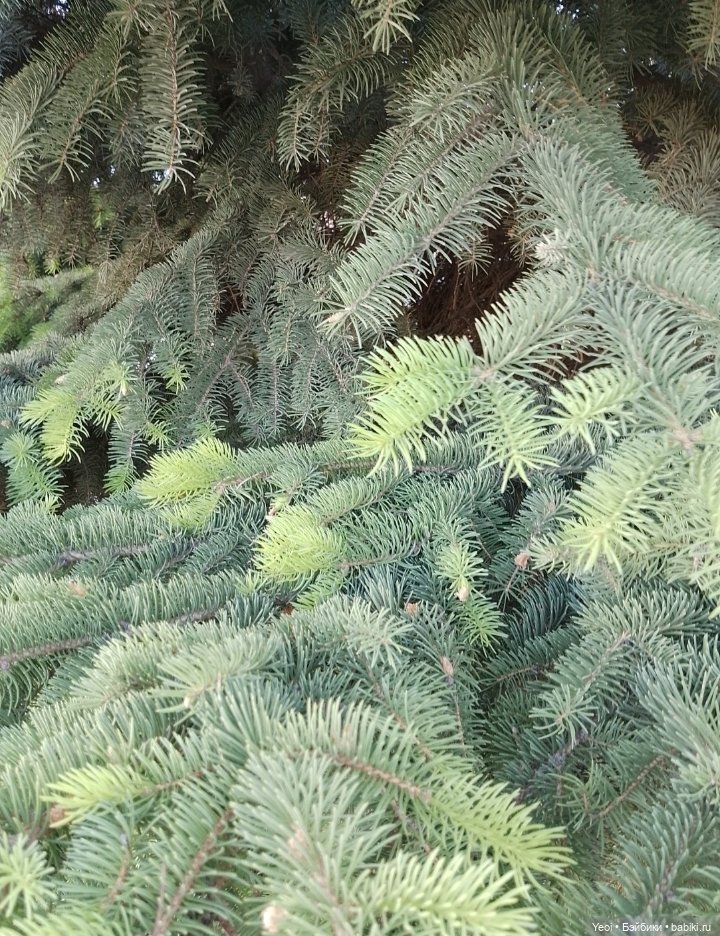 Кукла/фигурка Лучеано "Сицилийские истории". MJD (The Past In Sicily блайнд-бокс). 01