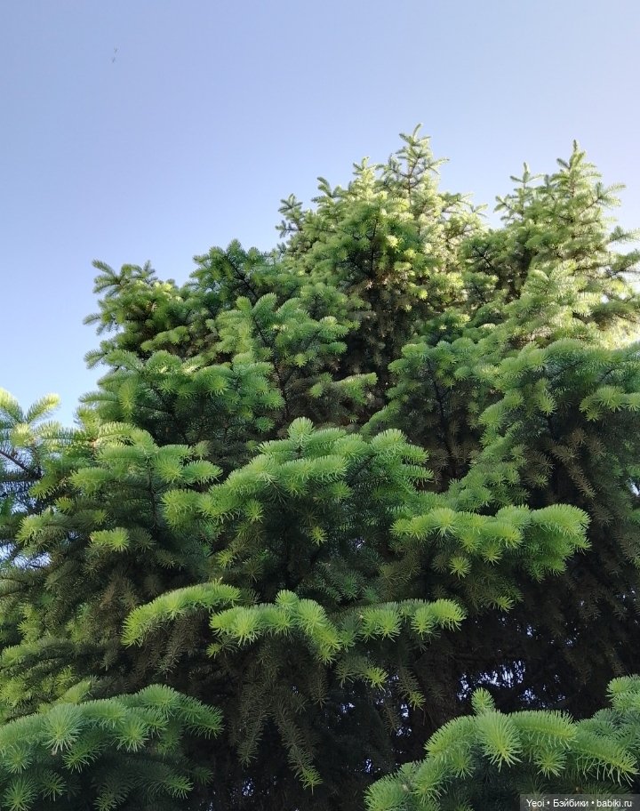 Кукла/фигурка Лучеано "Сицилийские истории". MJD (The Past In Sicily блайнд-бокс). 01