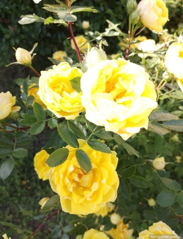 Кукла/фигурка Лучеано "Сицилийские истории". MJD (The Past In Sicily блайнд-бокс). 01 (фото 4)