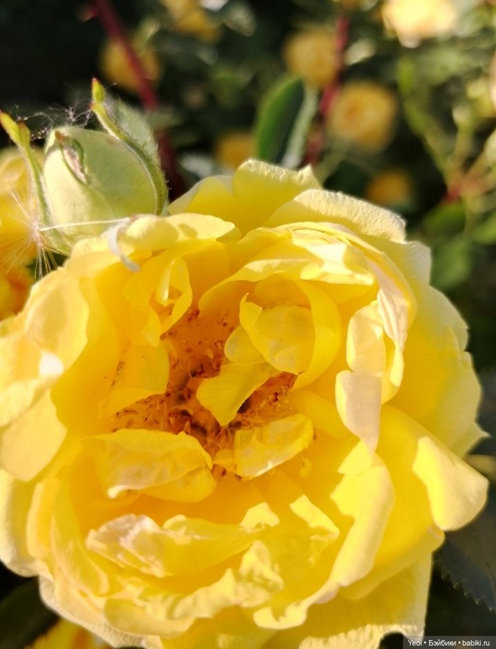 Кукла/фигурка Лучеано "Сицилийские истории". MJD (The Past In Sicily блайнд-бокс). 01 (фото 5)