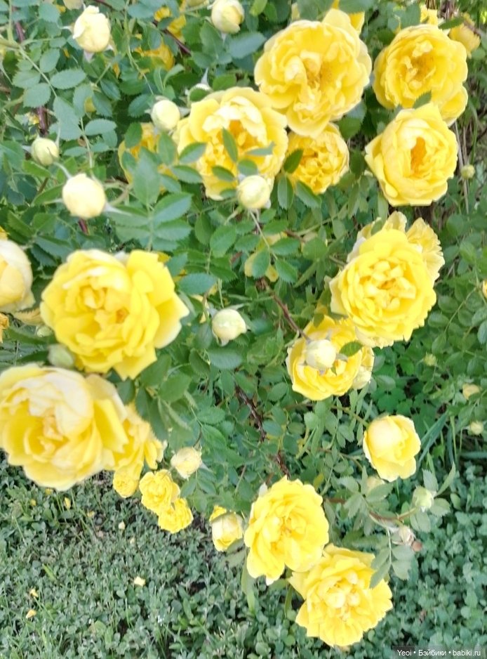 Кукла/фигурка Лучеано "Сицилийские истории". MJD (The Past In Sicily блайнд-бокс). 01 (фото 3)