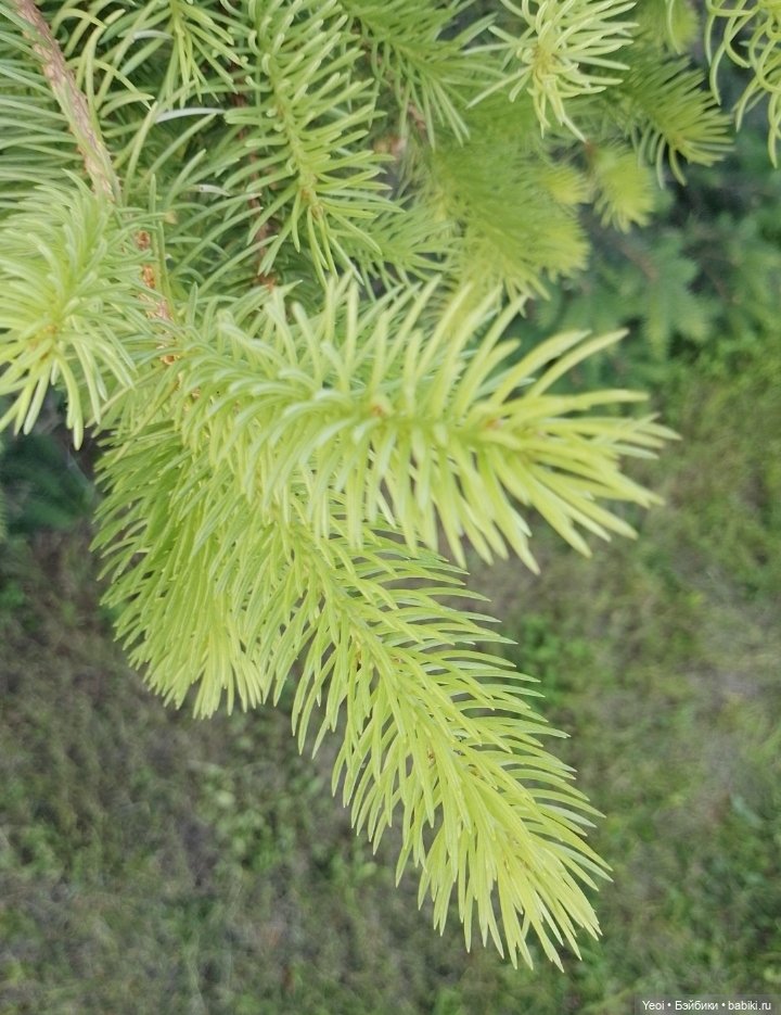 Кукла/фигурка Лучеано "Сицилийские истории". MJD (The Past In Sicily блайнд-бокс). 01