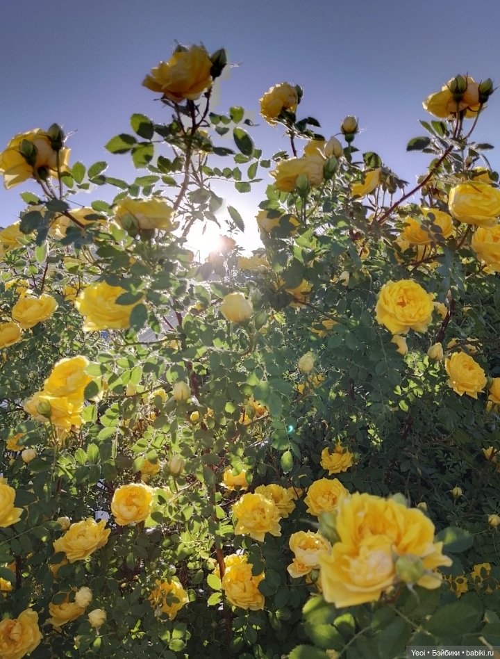 Кукла/фигурка Лучеано "Сицилийские истории". MJD (The Past In Sicily блайнд-бокс). 01