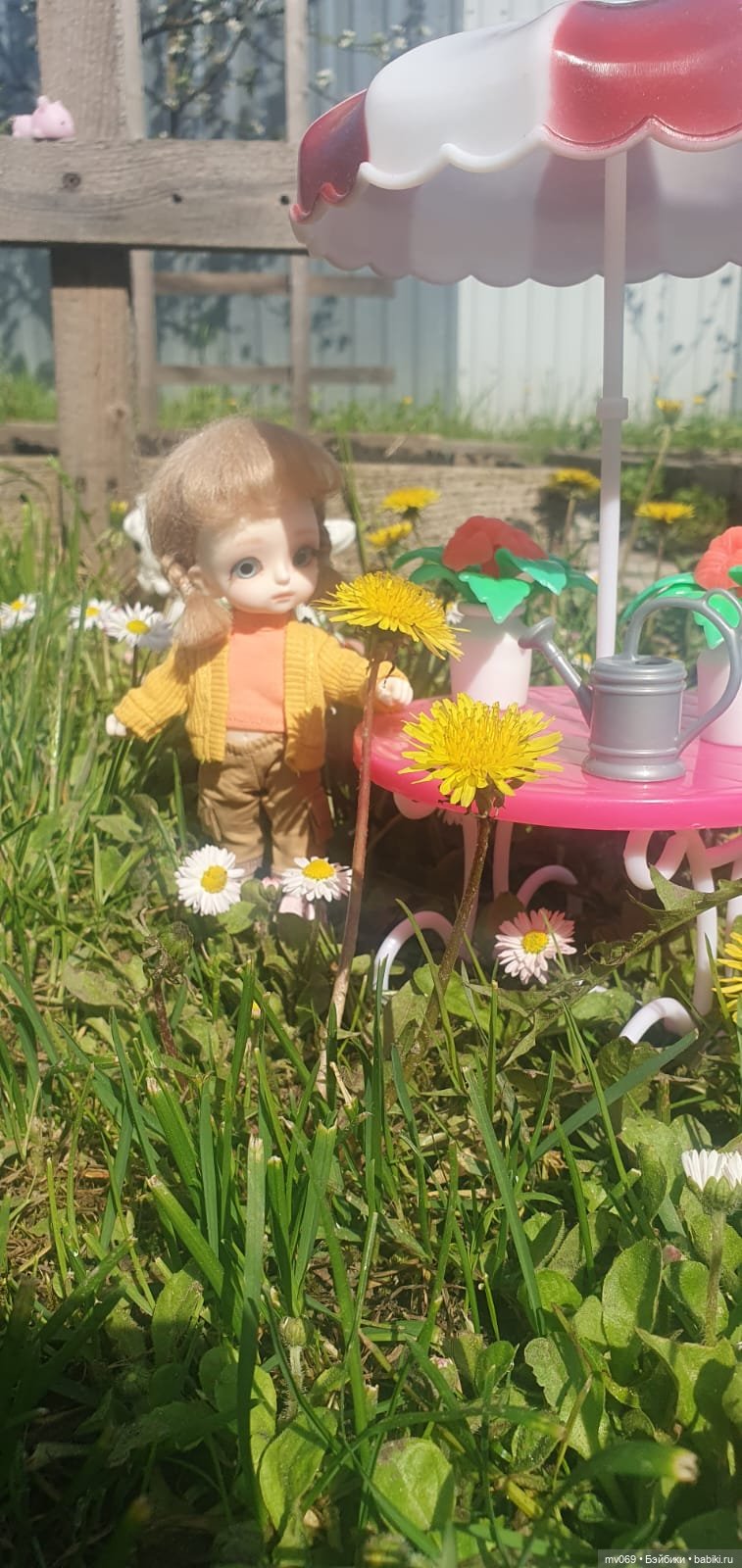 На даче — Куклы с Алиэкспресс (Aliexpress): Китайские шарнирные (фото 2)