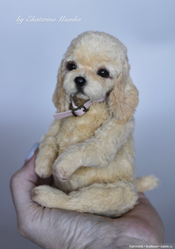 Тедди спаниель — Авторские мишки Тедди и друзья: фото