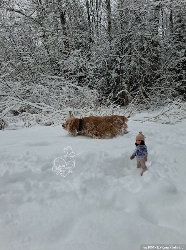 ИЗ ЖИЗНИ КУКОЛ "покатушный сезон 24-25" (фото 5)
