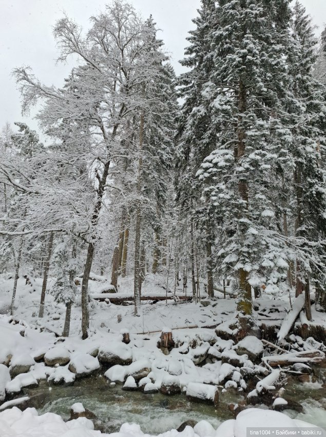 ИЗ ЖИЗНИ КУКОЛ "покатушный сезон 24-25" (фото 7)