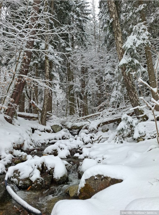 ИЗ ЖИЗНИ КУКОЛ "покатушный сезон 24-25" (фото 9)