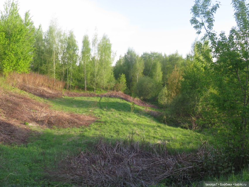 Ми-ми-ми-ми, мини панды — Игровые куклы разных производителей (Разное): редкие бренды (фото 8)