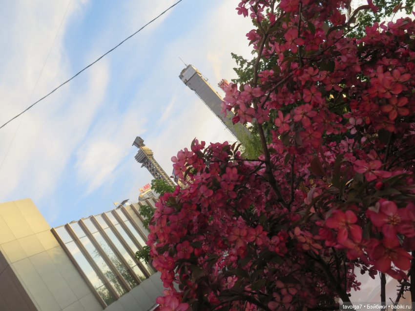 Ми-ми-ми-ми, мини панды — Игровые куклы разных производителей (Разное): редкие бренды