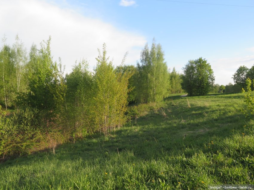 Ми-ми-ми-ми, мини панды — Игровые куклы разных производителей (Разное): редкие бренды (фото 9)