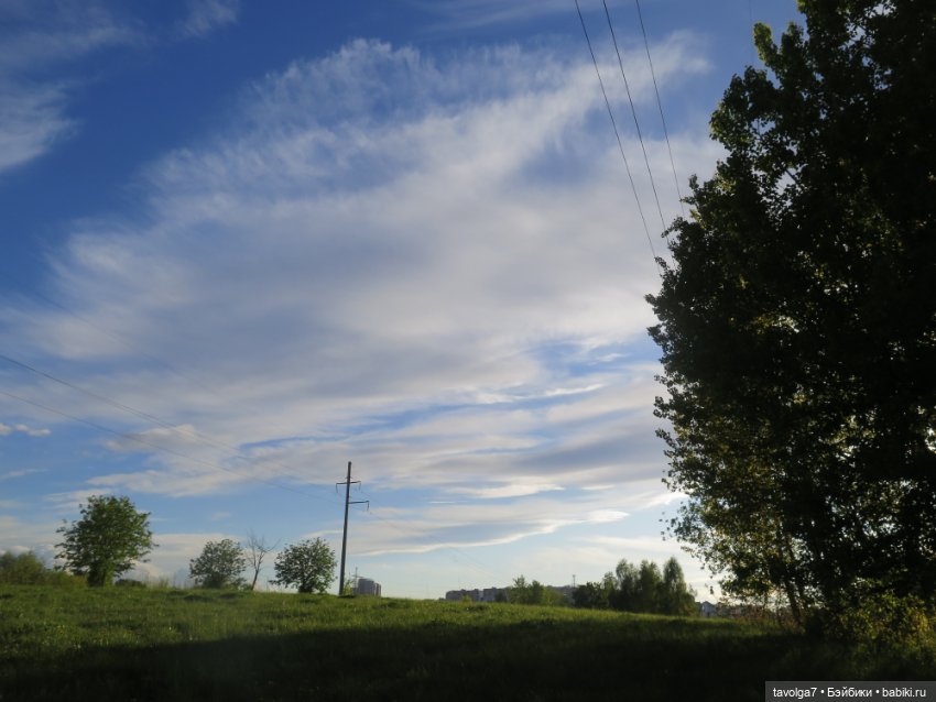 Ми-ми-ми-ми, мини панды — Игровые куклы разных производителей (Разное): редкие бренды (фото 10)