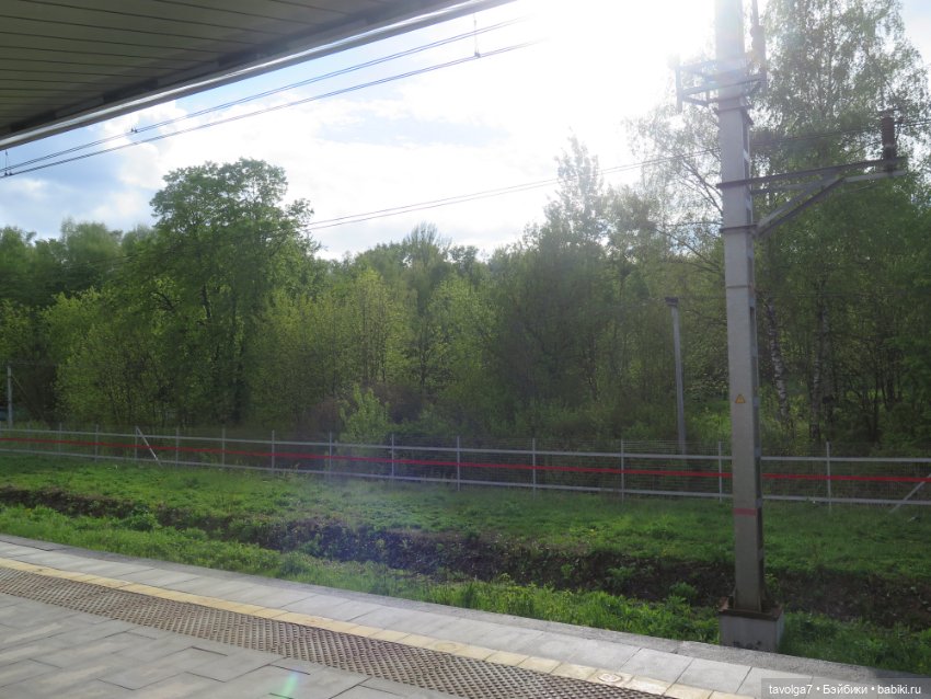 SeaSters и берёзки — Игровые куклы разных производителей (Разное): редкие бренды (фото 2)