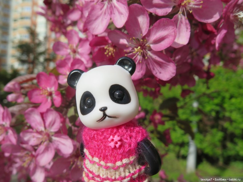 Ми-ми-ми-ми, мини панды — Игровые куклы разных производителей (Разное): редкие бренды (фото 2)