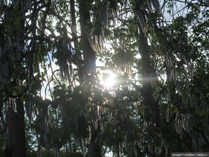 SeaSters и берёзки — Игровые куклы разных производителей (Разное): редкие бренды (фото 7)