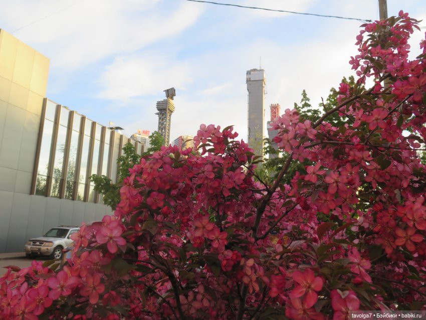 Ми-ми-ми-ми, мини панды — Игровые куклы разных производителей (Разное): редкие бренды