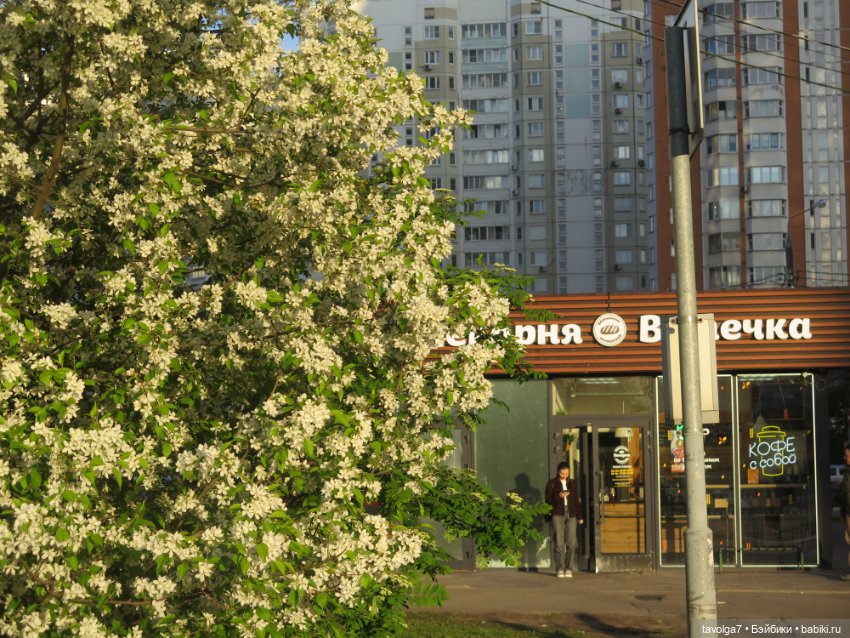 SeaSters и берёзки — Игровые куклы разных производителей (Разное): редкие бренды