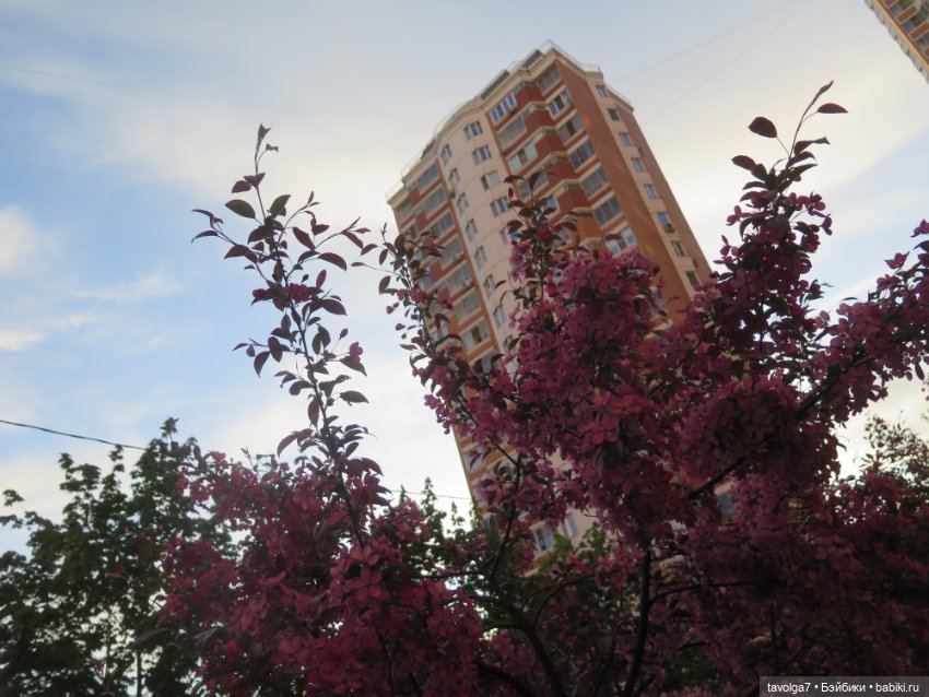 Ми-ми-ми-ми, мини панды — Игровые куклы разных производителей (Разное): редкие бренды