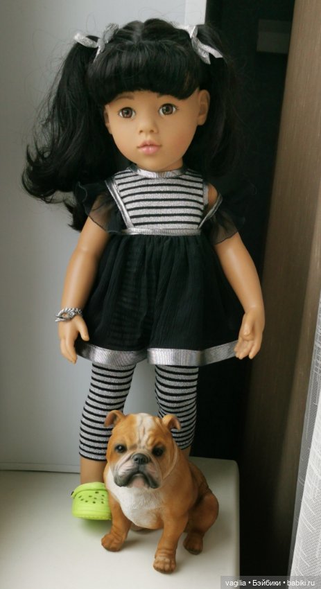 Новый питомец — В мире животных: смешные фото питомцев и зверей (фото 5)