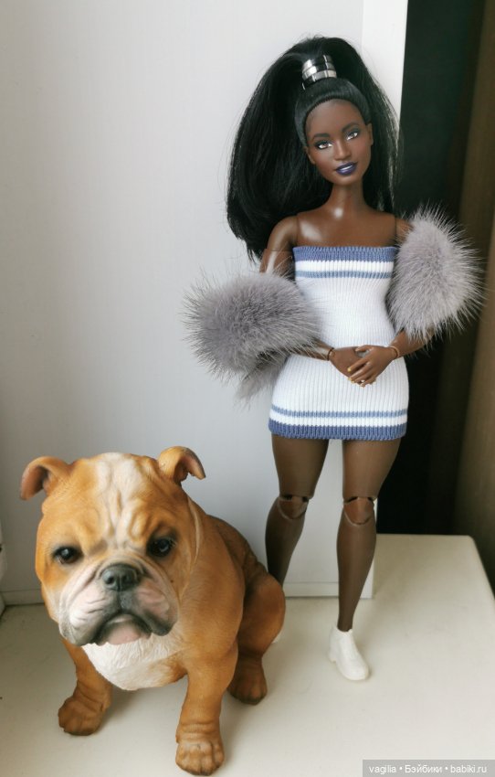 Новый питомец — В мире животных: смешные фото питомцев и зверей (фото 2)