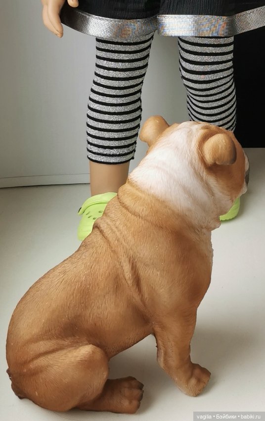 Новый питомец — В мире животных: смешные фото питомцев и зверей (фото 7)