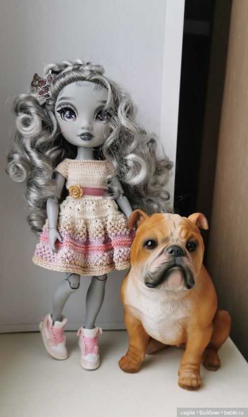 Новый питомец — В мире животных: смешные фото питомцев и зверей