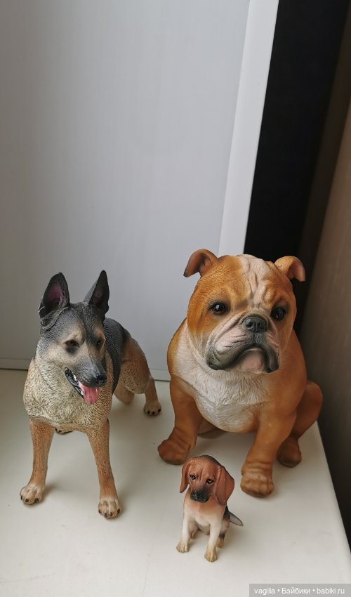 Новый питомец — В мире животных: смешные фото питомцев и зверей (фото 8)