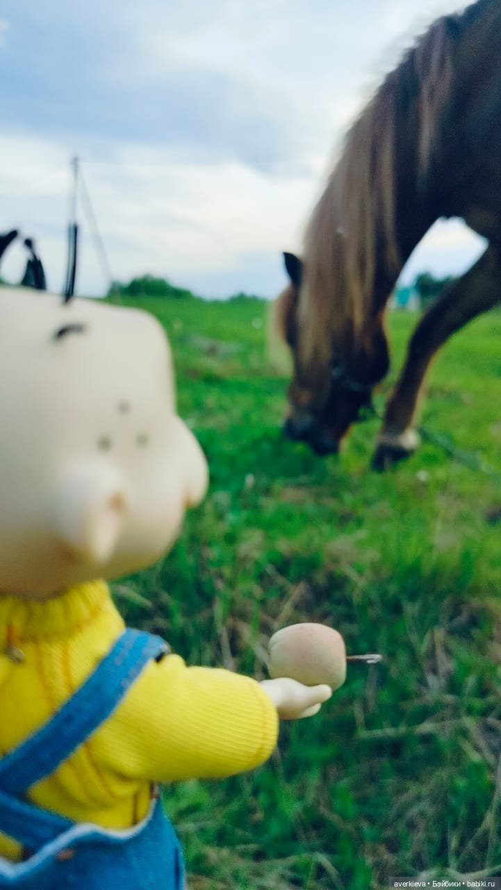 Лошадкаааа — Винтажные куклы ГДР (Немки): Бигги (фото 8)