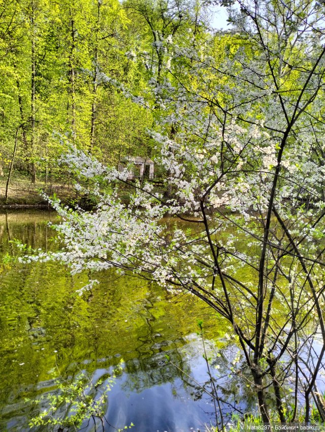Плюшечки от Heidi Plusczok весной. Часть 1. Лей Ли в красном