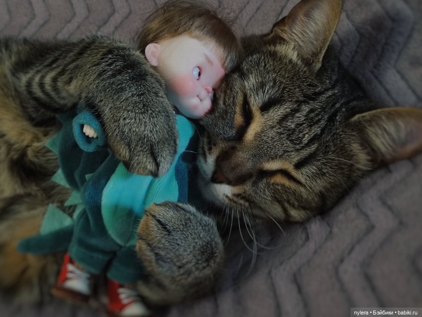 Банда — Куклы Qbaby (Кьюбейби) Rodgerdoll: для тела Ob11