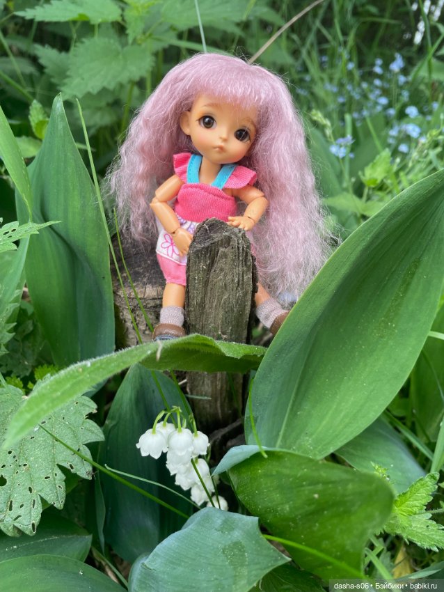 На дачу с Мышкой и котом) (фото 6)