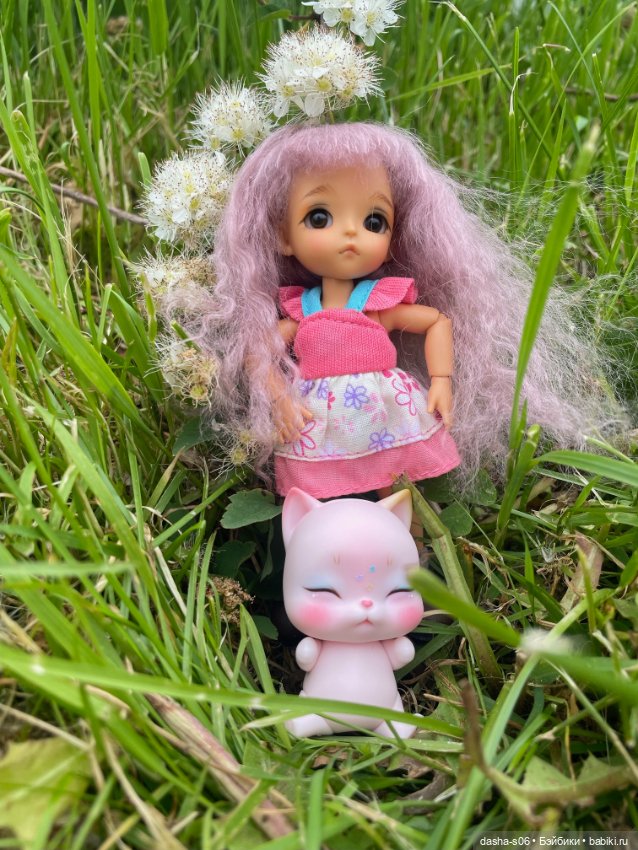 На дачу с Мышкой и котом) (фото 4)