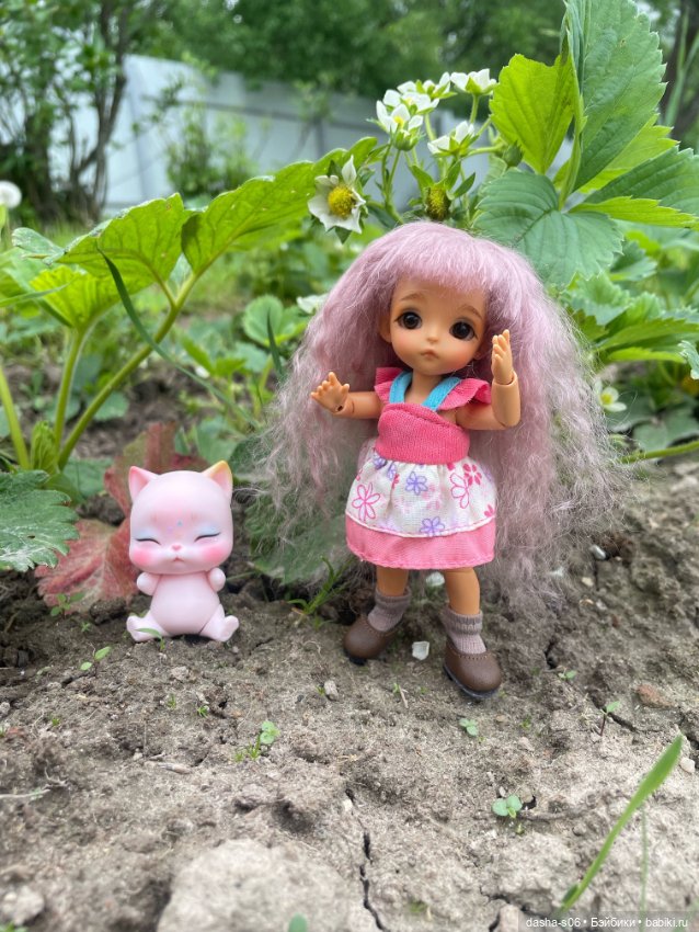 На дачу с Мышкой и котом) (фото 3)