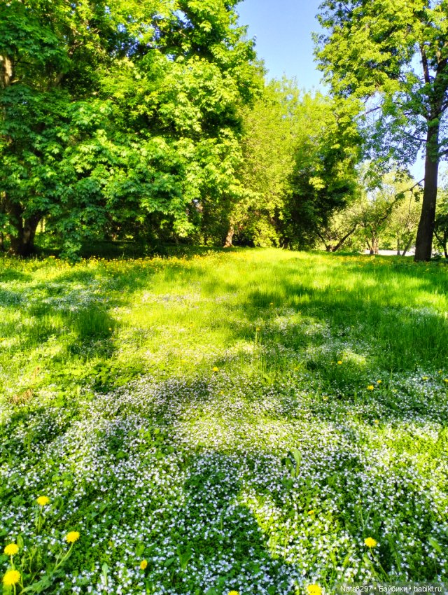 Плюшечки от Heidi Plusczok весной. Часть2. Цветы для Карли (фото 6)