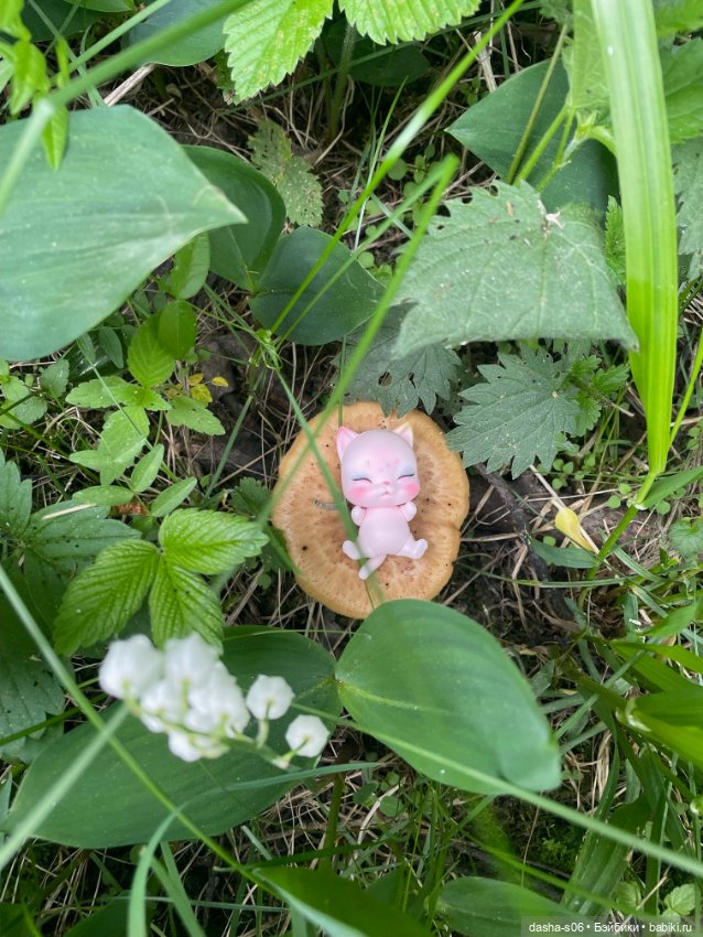 На дачу с Мышкой и котом) (фото 7)