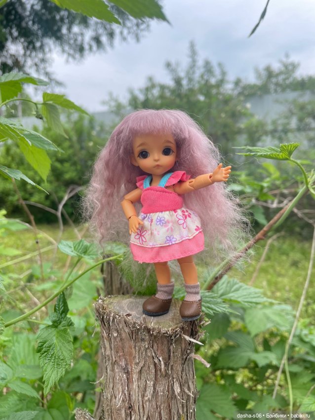 На дачу с Мышкой и котом)