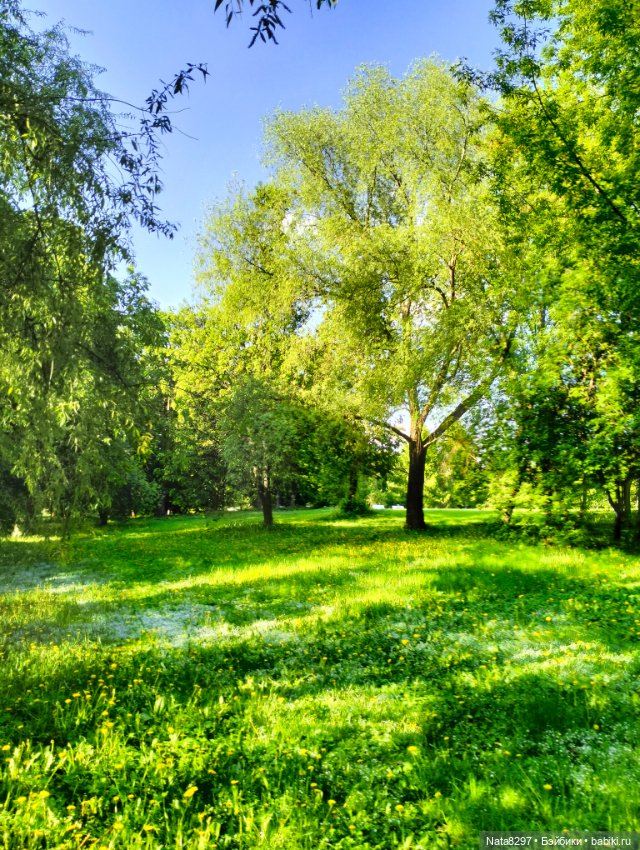 Плюшечки от Heidi Plusczok весной. Часть2. Цветы для Карли (фото 5)