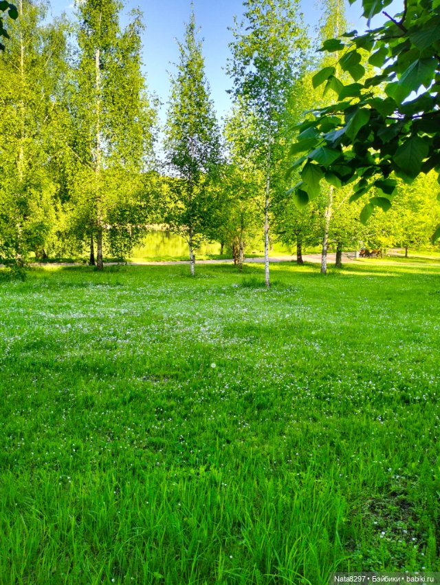 Плюшечки от Heidi Plusczok весной. Часть2. Цветы для Карли