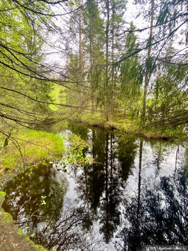 Край тысячи озер — Туризм и путешествия: фотоотчеты из поездок