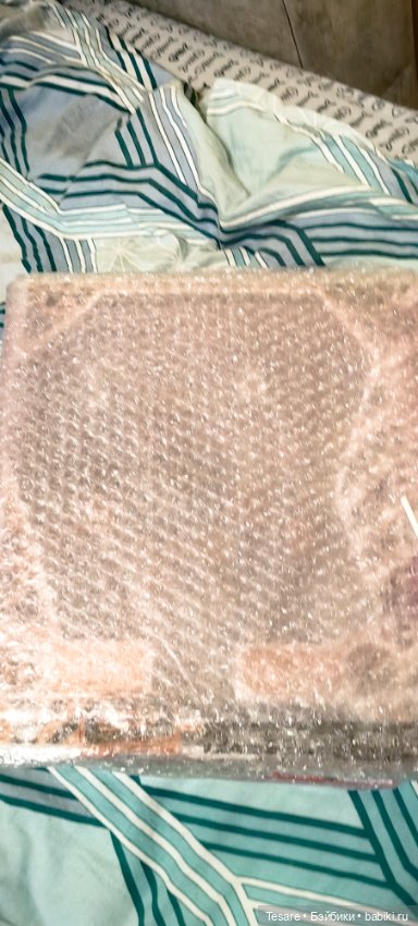 Пополнение в кошачьем царстве