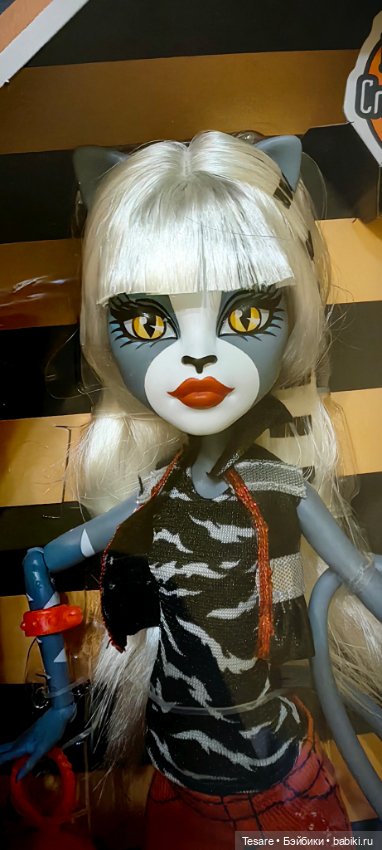 Пополнение в кошачьем царстве