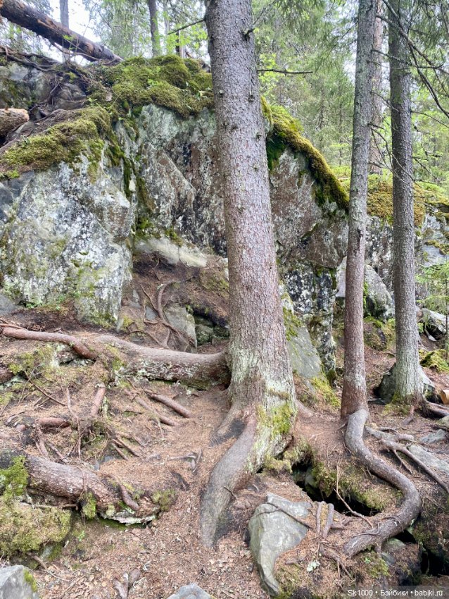 Край тысячи озер — Туризм и путешествия: фотоотчеты из поездок (фото 8)