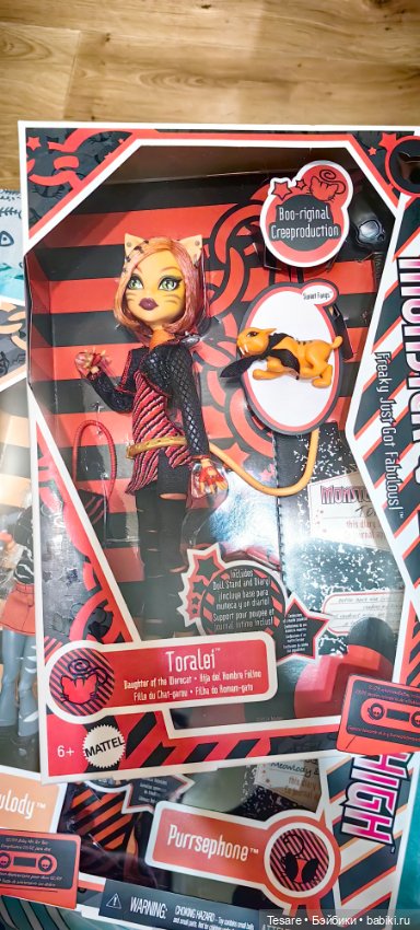 Пополнение в кошачьем царстве (фото 7)