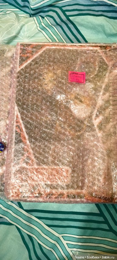 Пополнение в кошачьем царстве (фото 2)