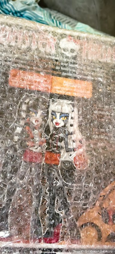 Пополнение в кошачьем царстве (фото 5)