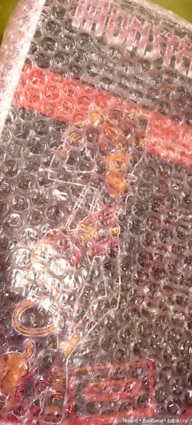 Пополнение в кошачьем царстве (фото 6)